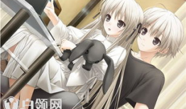 动漫h推荐,探索奇幻世界，邂逅梦幻角色